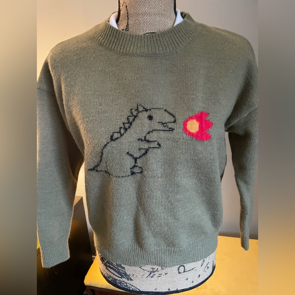 Green Dinosaur sweater fits like xs /s